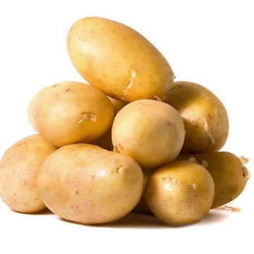 New Crop Potato Vegetable